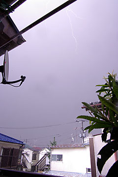 thunder1.jpg