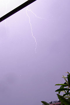 thunderup2.jpg